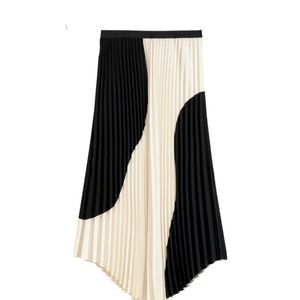 H&M Pleated Skirt